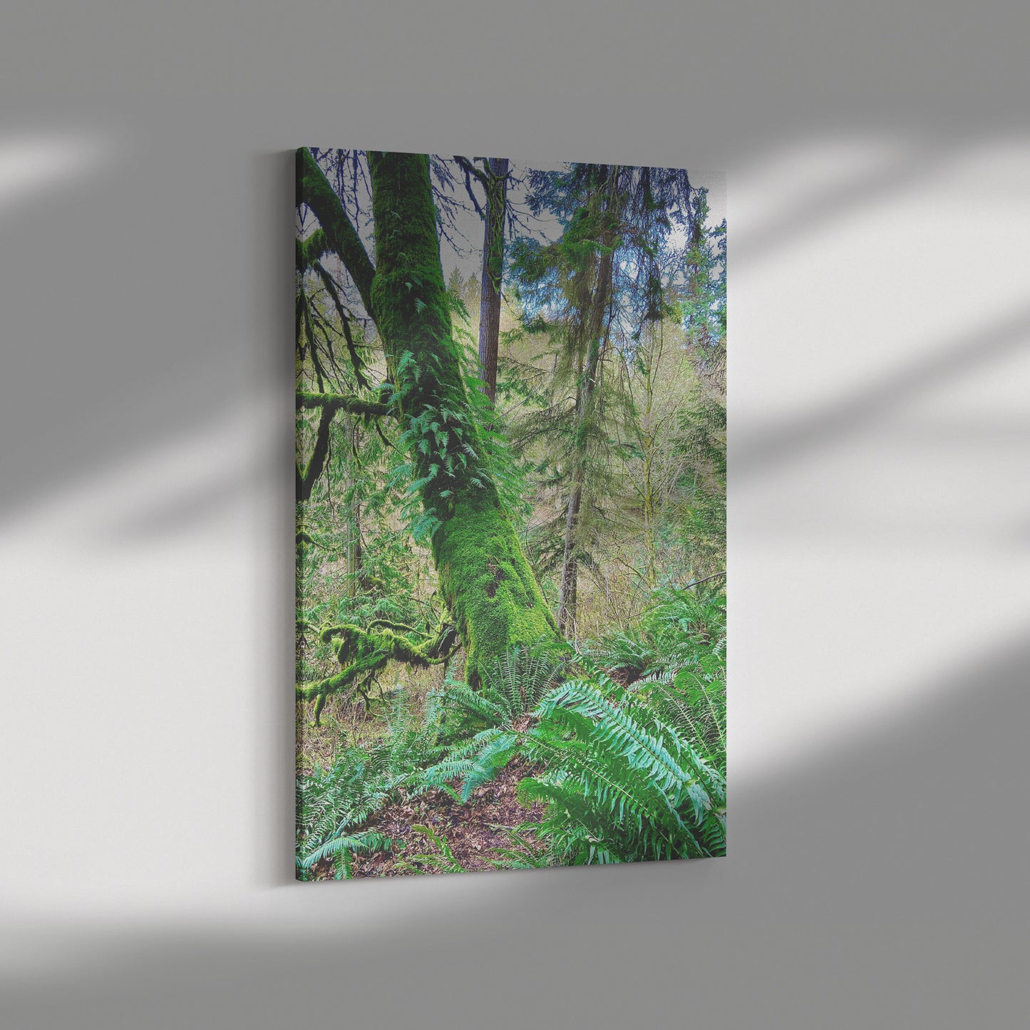 Northern Moss Tree