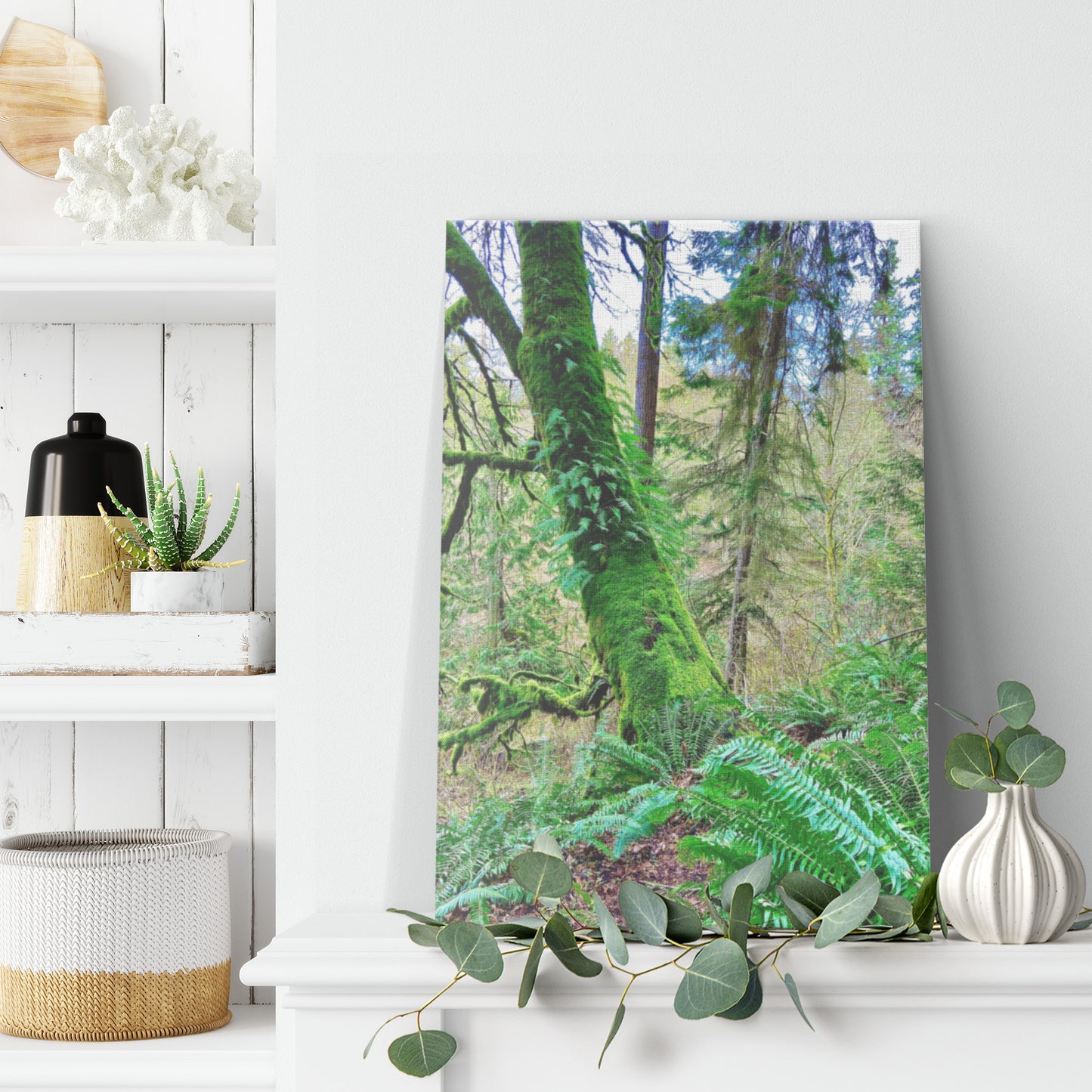 Northern Moss Tree